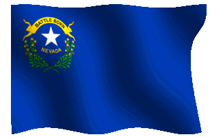 nevada flag